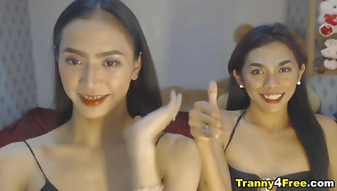 Busty shemale with small tits and shaved pussy gets double cock